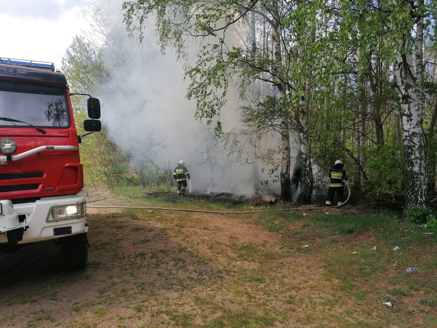 Pożar lasu na Rudkach. Szybka interwencja straży pozwoliła go ugasić