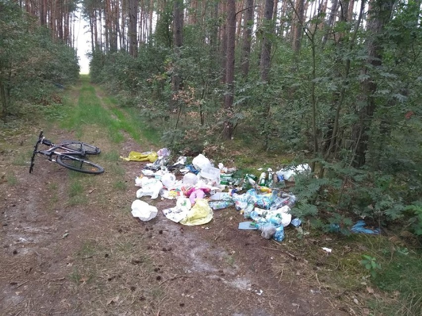 Mieszkaniec Piotrkowa zrobił zdjęcie śmieci w lesie w...