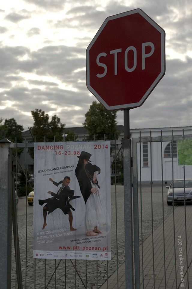 W sobotę 16 sierpnia rozpoczął się Dancing Poznań 2014
fot. Andrzej Hajdasz