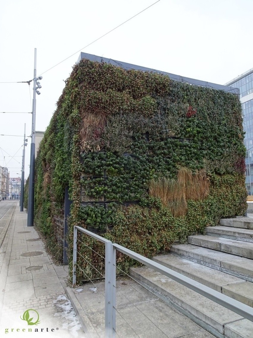 Realizacja - Katowice - zielona ściana zimową porą