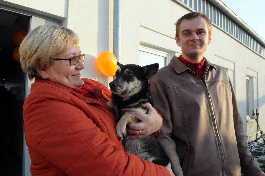 Dzień otwarty Schroniska dla Bezdomnych Zwierząt WIDEO