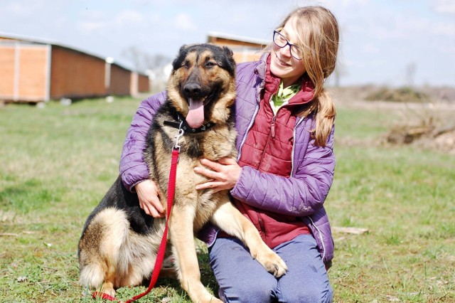 Schronisko dla zwierząt w Skierniewicach oferuje piękne psy do adopcji