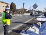 Radomsko. Drogówka rozpoczęła akcję "Kierujący - pieszy". Policjanci nałożyli już 60 mandatów. Kiedy kolejne kontrole?