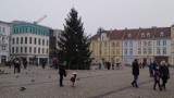 Pogoda Bydgoszcz: poniedziałek, 26 grudnia. Drugi dzień Świąt Bożego Narodzenia
