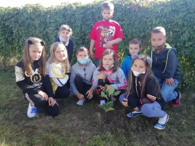 Uczniowie Szkoły Podstawowej nr 2 w Wieluniu sadzili drzewa w ramach akcji #sadziMY