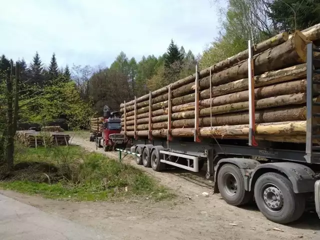 Pieniądze z funduszu leśnego przeznaczane są m.in. na remonty dróg i szlaków turystycznych, które są niszczone w trakcie transportu drewna z lasów. Na drodze w Zalasowej często można zobaczyć podobne samochody z dłużycą