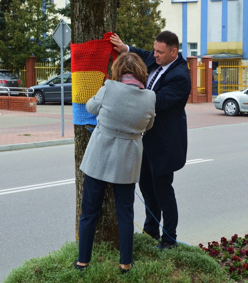 Tęczowe osłonki zdobią drzewa przy ulicy Ludowej w...