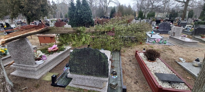 Na cmentarzu w Goleniowie też demolka. Orkan nie oszczędził nawet grobów