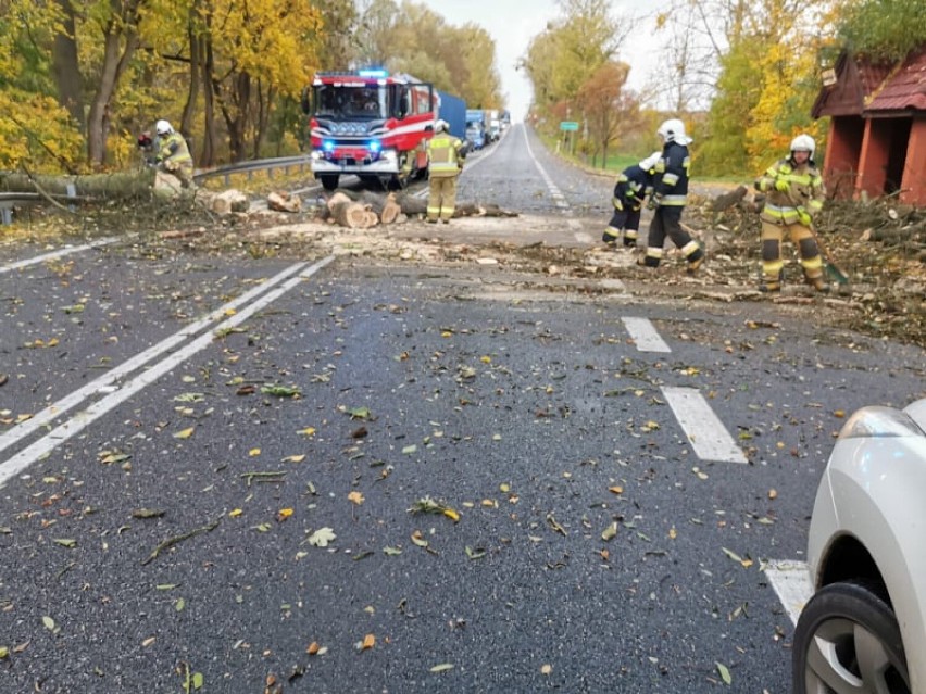 Tczew, Starogard Gdański. Wichura jaka przechodzi nad Kociewiem zbiera żniwo