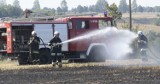 Pożar w Żelistrzewie na ul. Lipowej: trzy osoby poszkodowane. Kobieta ma mocno poparzoną twarz