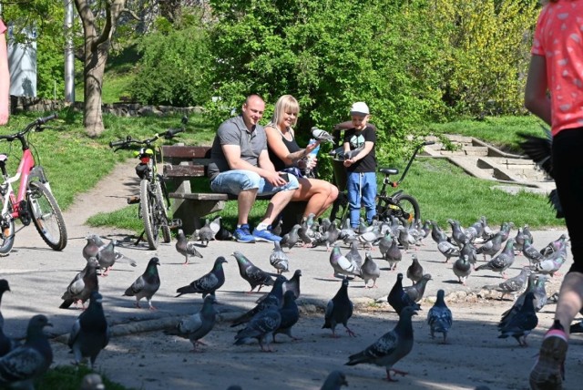 Cudowna pogoda sprawiła, że w sobotę, 9 maja kielczanie zapragnęli wypoczynku na świeżym powietrzu. Nad kieleckim zalewem, na stadionie leśnym i w parku miejskim było mnóstwo spragnionych słońca ludzi. Zobaczcie zdjęcia.

>>> ZOBACZ WIĘCEJ NA KOLEJNYCH ZDJĘCIACH 