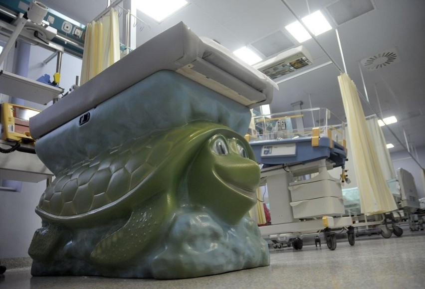Żółw i hipopotam pocieszają dzieci. Nowy sprzęt w Klinice Chirurgii i Urologii Dzieci i Młodzieży