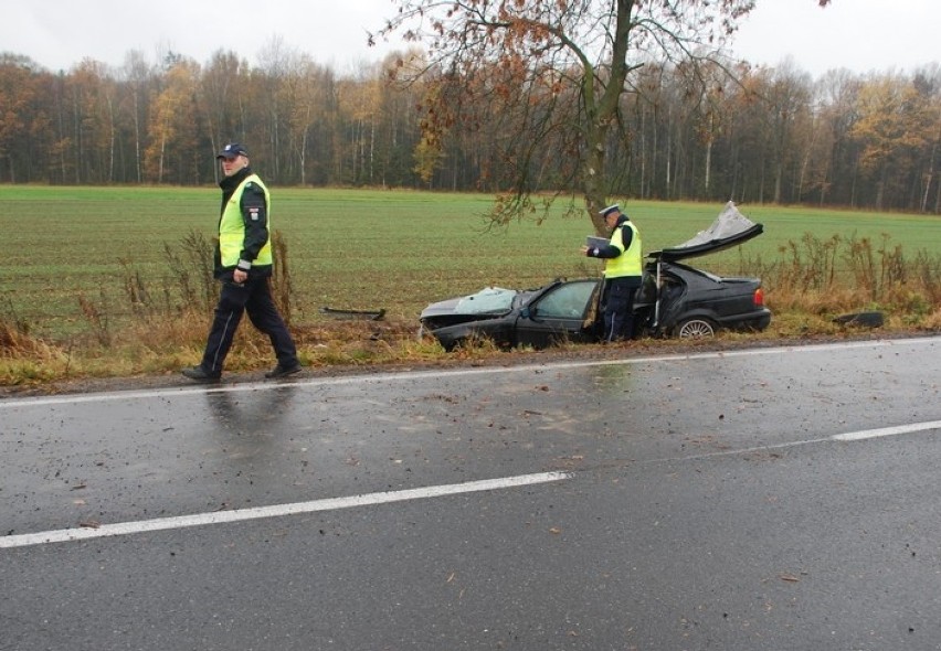 Lublinieccy policjanci proszą o kontakt świadków wypadku, do którego doszło na trasie Psary-Boronów