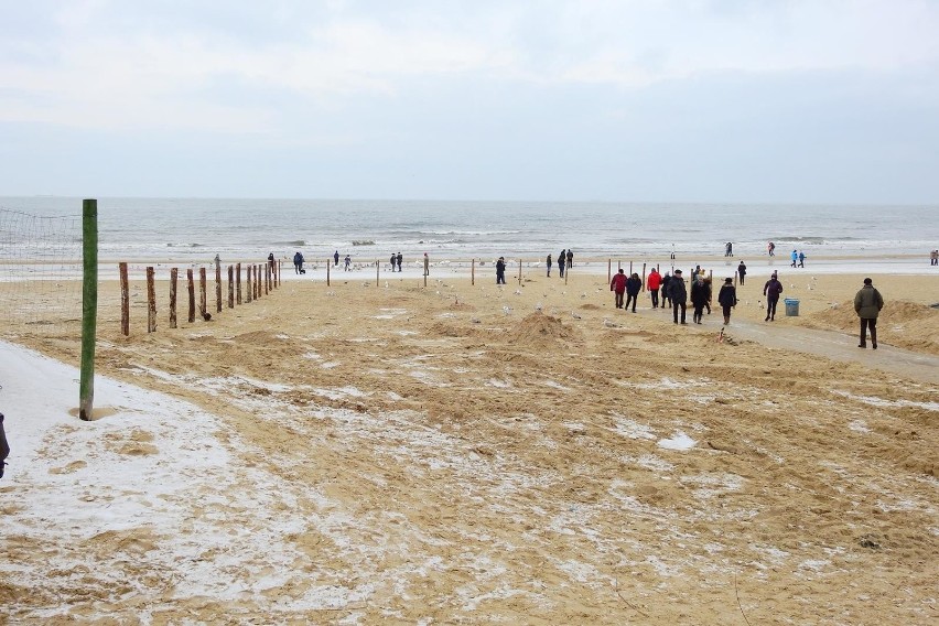 Powbijali pale na plaży. Co w przyszłości będzie na nich stało?