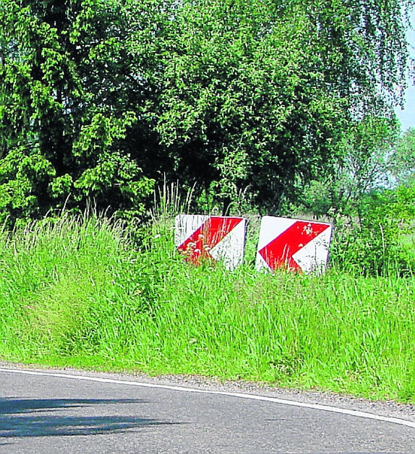 W Porębie Wielkiej znaki toną w zaroślach przy drodze