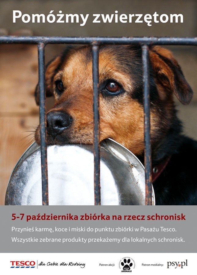 Zbiórka na rzecz schronisk dla zwierząt | Kraków Nasze Miasto