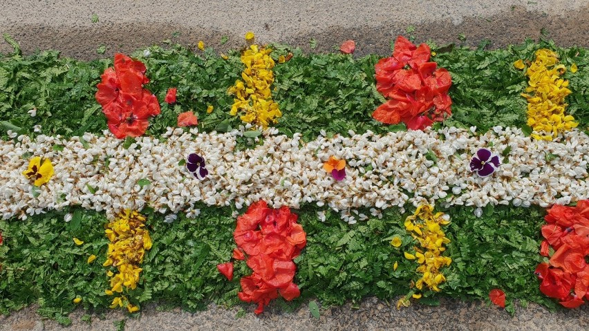Mieszkańcy Klucza, Zimnej Wódki, Olszowej i Zalesia Śląskiego chcą wpisać kwiatowe dywany na listę UNESCO