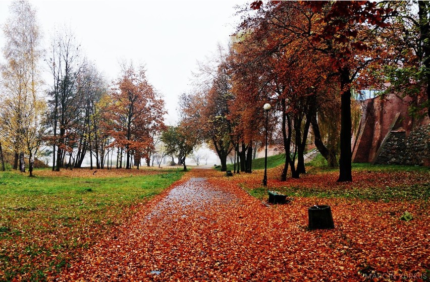 Jesień w Malborku [ZDJĘCIA]. Tak to wygląda w obiektywie Czytelnika