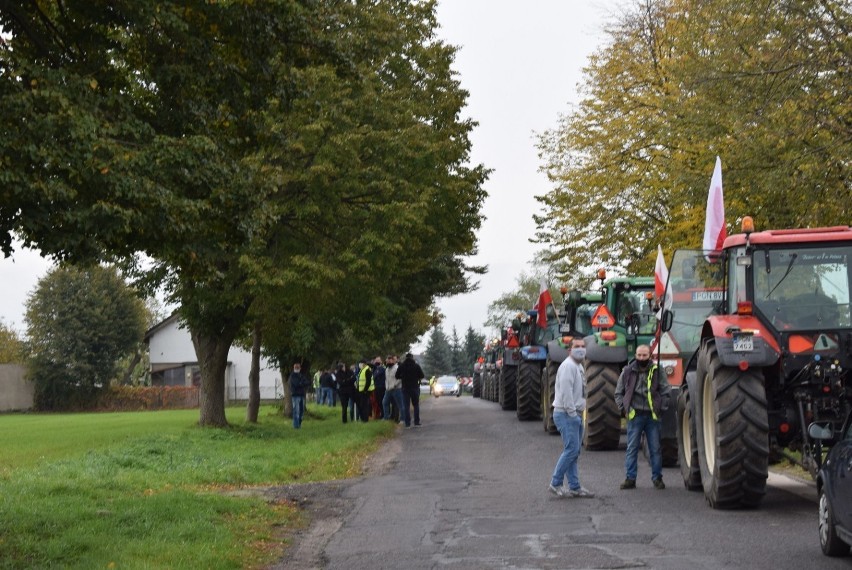 Rolnicy Gniezno. Czy to nie koniec protestów? Będzie nowa „piątka dla zwierząt"?