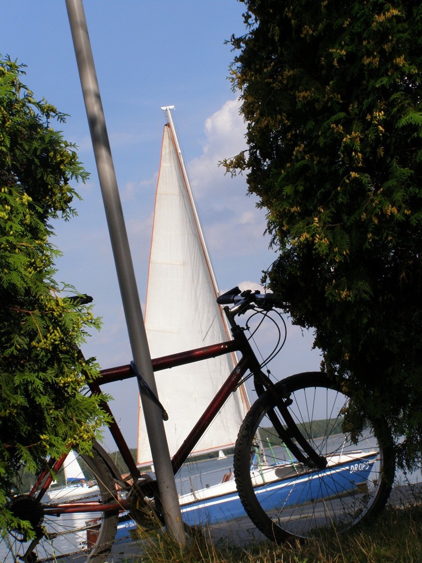 Rower w podróży: Zdjęcie zostało wykonane nad Zalewem...