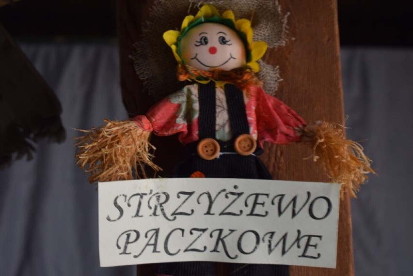 Gmina Gniezno. KGW Strzyżewo Paczkowe zachęca do szczepień. Będzie festyn i zabawa taneczna!