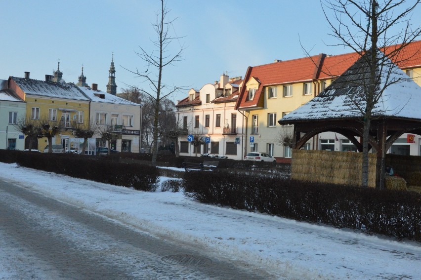 Poniedziałek, 18 stycznia był z pewnością najmroźniejszym...