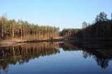 Kwidzyn: Ze środków unijnych odbudowali zbiorniki retencyjne w Leśnictwie Otłów