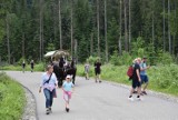 Tatry. Na drodze do Morskiego Oka wylewają 300 metrów eksperymentalnego asfaltu