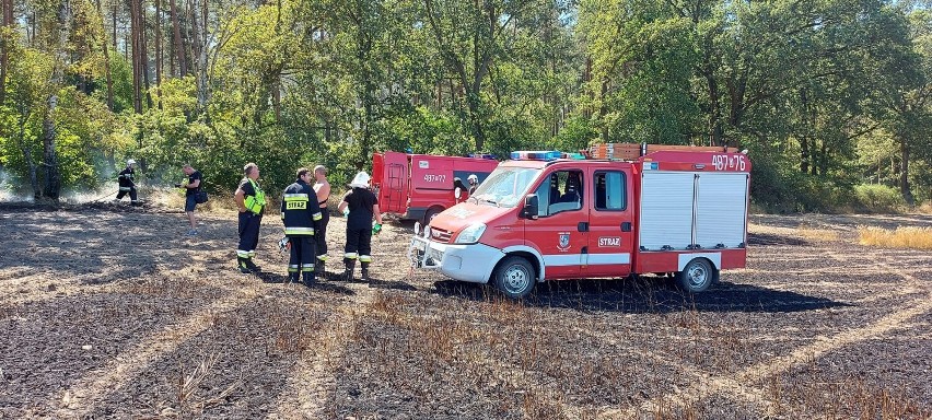 Pożar zboża i lasu