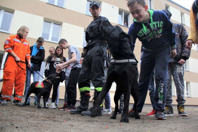 W Specjalnym Ośrodku Szkolno - Wychowawczym w Międzychodzie odbył się pokaz psów ratowniczych gruzowych i terenowych (16.10.2019).