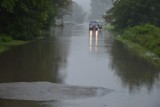 Bochnia. Ulica Gazowa w Bochni od lat zamienia się w jezioro. Właściciele firm od dawna czekają na rozwiązanie problemu