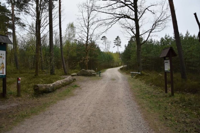 Wejście na Ścieżkę Zdrowia znajduje się przy ulicy Wilczka....