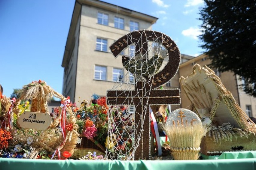 Przemarsz ulicami miasta i festyn w Parku Wilsona