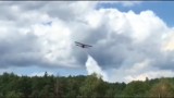 Płonie las koło Zielonej Góry Nowego Kisielina. Pożar gasi samolot 