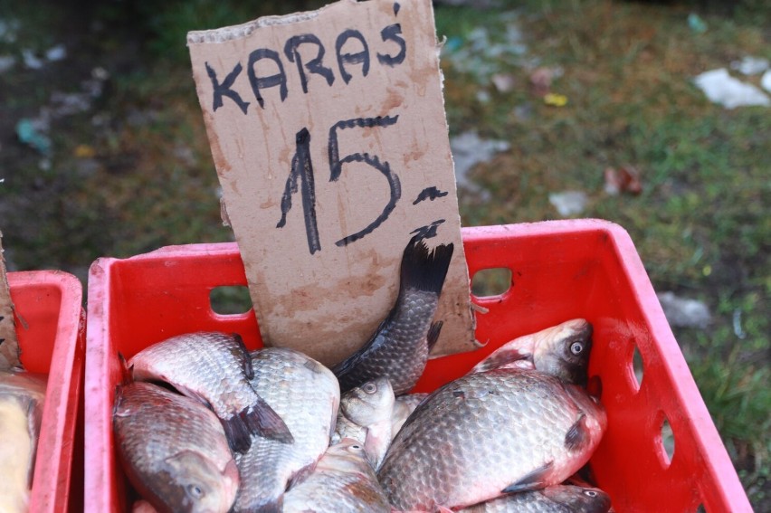 Takie są ceny choinek oraz karpi i innych ryb na Pchlim...