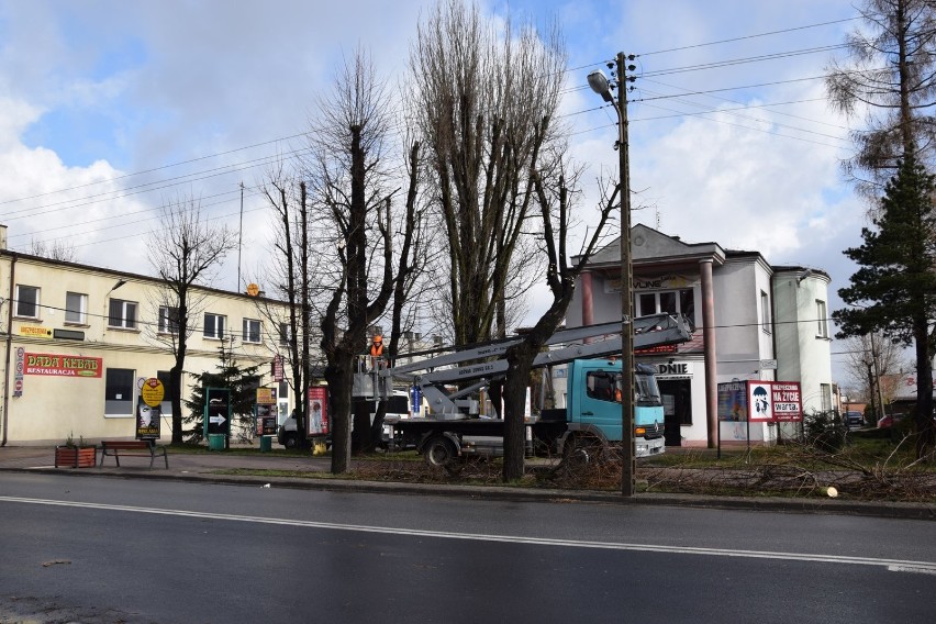 Trwa przycinanie drzew przy ulicach powiatowych w Zduńskiej Woli  