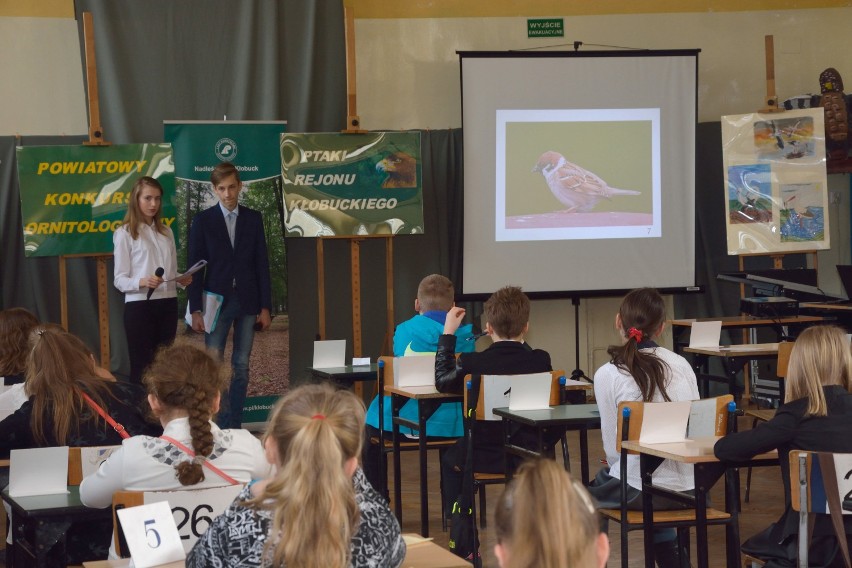 Konkurs Ornitologiczny w Gimnazjum w Kłobucku [WYNIKI]