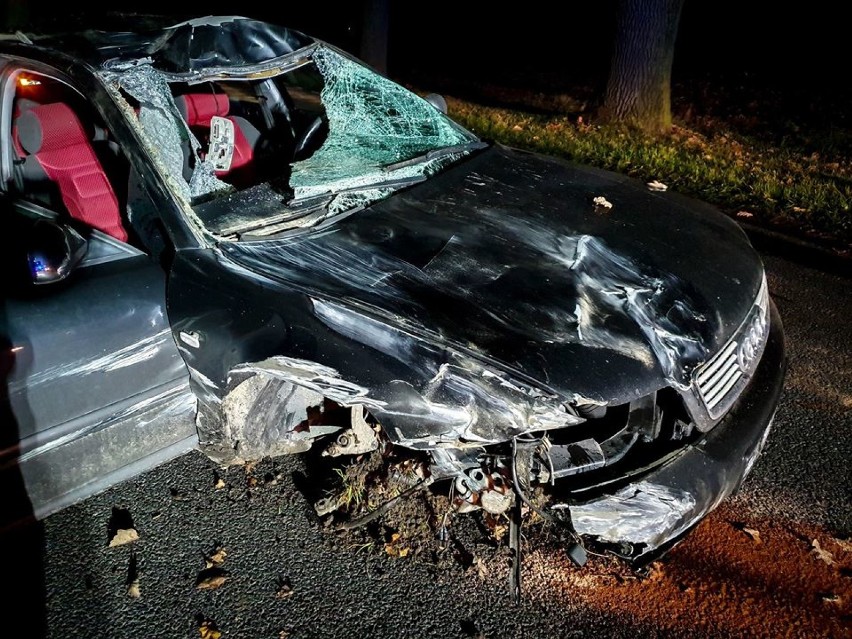 Zderzenie aud z jeleniem na drodze nr 242 pod Wyrzyskiem