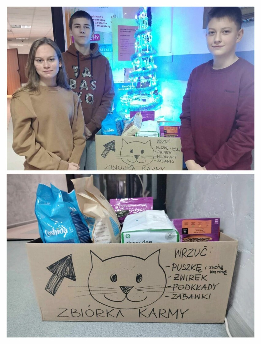 Trwa świąteczna zbiórka darów dla bezdomnych zwierząt w Piotrkowie VIDEO, ZDJĘCIA