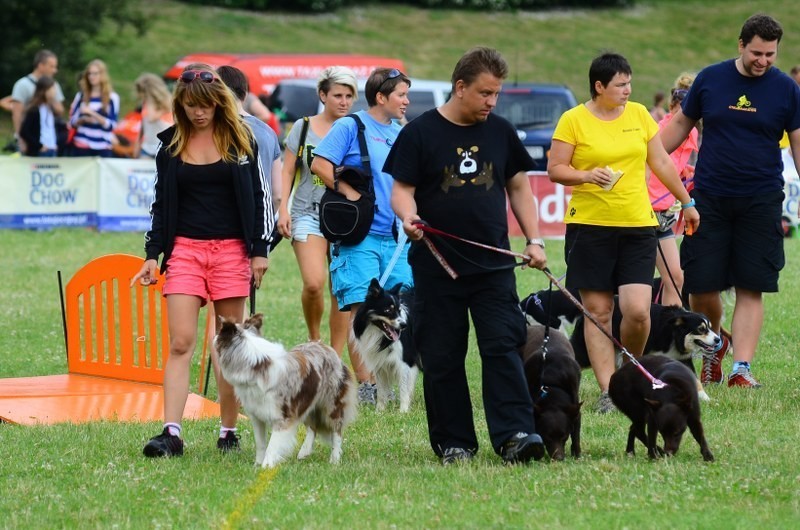 Dog Chow Disc Cup 2013