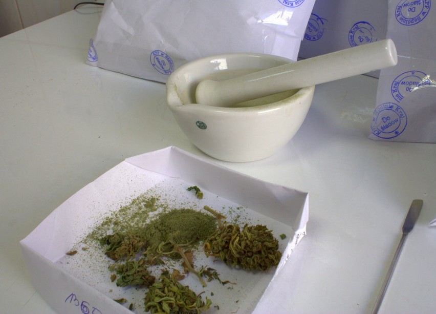 Sępólno: 2,5 kilograma marihuany w rękach policji [ZDJĘCIA]