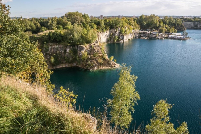 Użytek ekologiczny na Zakrzówku ustanowiono w roku 2018...