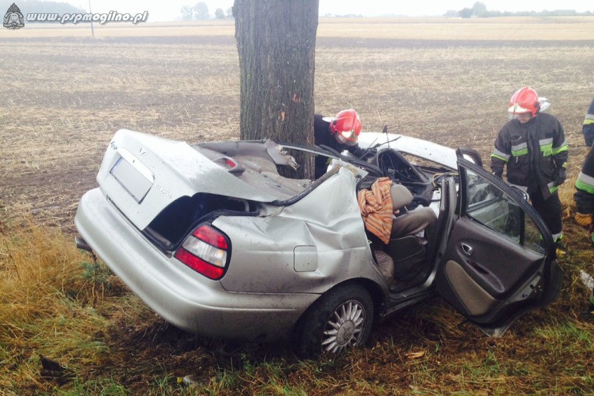 Śmiertelny wypadek w Krzywym Kolanie [ZDJĘCIA]