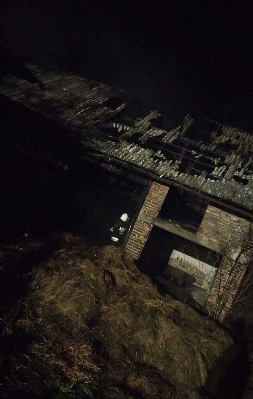 Pożar w Rybniku: spaliła się stodoła. Gaszenie trwało ponad trzy godziny [ZDJĘCIA]