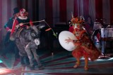 „Karnawał zwierząt” w Operze Nova w Bydgoszczy jak muzyczna przygoda w niezwykłym cyrku [zdjęcia]