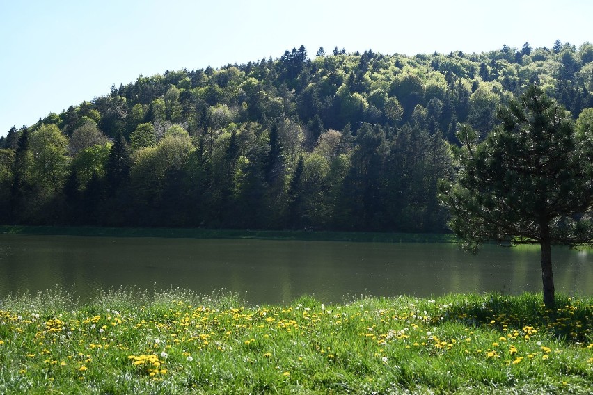 Weekend nad Zalewem w Krempnej i w okolicy. Nie ma tłumów, warto tam pojechać dla widoków, ciszy i spokoju [ZDJĘCIA]