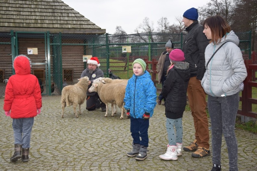 Mikołaj w Lubinie. Rozdał prezenty dzieciom w mini ZOO