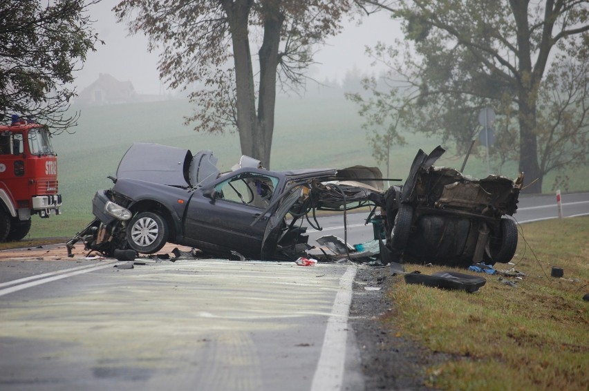 Wypadek koło Bądek. Nie żyje 22-letni mężczyzna [ZDJĘCIA]