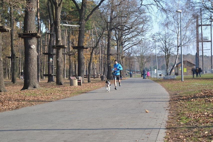 5. Ostrowska Jesień Biegowa. Bieg z psem