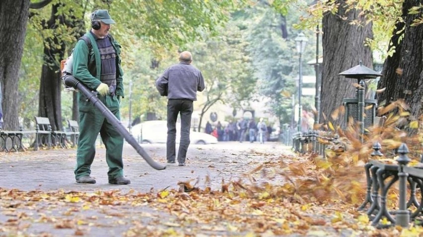 Będą zakazy używania dmuchaw do liści podczas smogu. Nie tylko w Krakowie